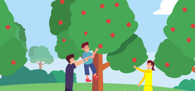Apple Picking