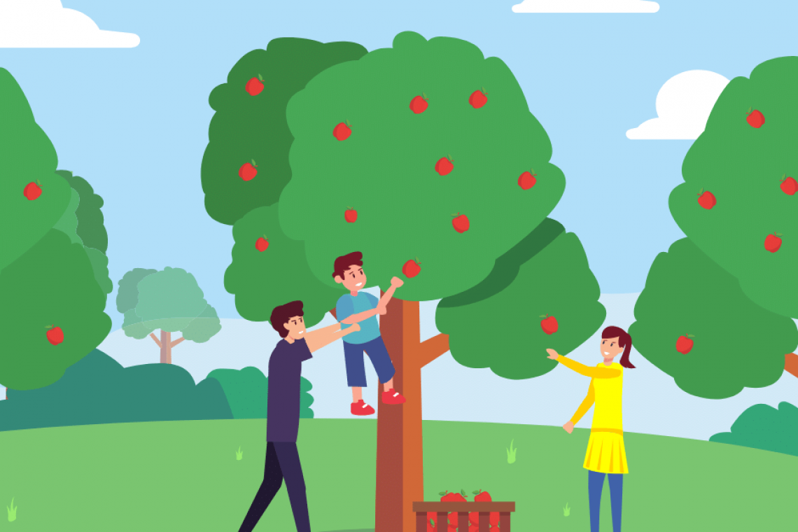 Apple-Picking